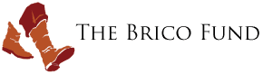 The Brico Fund logo